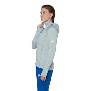 Bluza Taiss ML Hooded Jacket Women nebla
