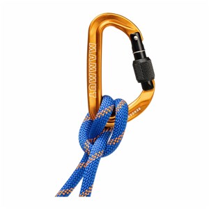 Karabinek Sender Screwgate Carabiner gold