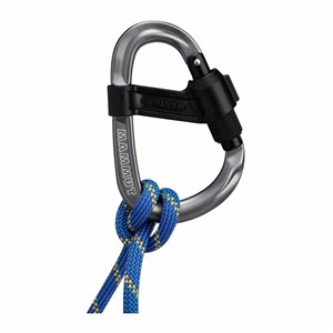 Karabinek Smart HMS 2.0 Screwgate grey