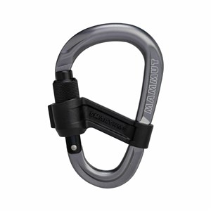 Karabinek Smart HMS 2.0 Screwgate grey