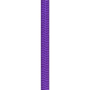 Lina dynamiczna Wall Master 10.5 mm 20 m violet
