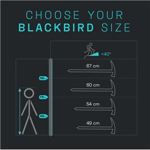 Czekan Blackbird Ice Axe black 49cm