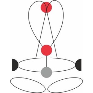 Uprząż Golden Top Evo Alu rozmiar S-L
