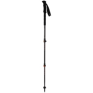 Kije trekkingowe Backcountry Pro 2.0