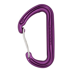 Karabinek Spectre Purple