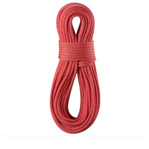 Lina dynamiczna Boa 9.8 mm 60 m red