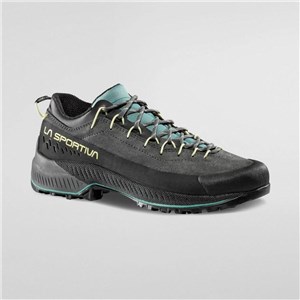 Buty podejściowe TX4 Evo carbon/zest