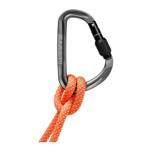 Karabinek Workhorse HMS Screw Gate grey