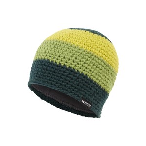 Czapka Flash Beanie - pine/cactus/vine
