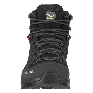 Buty WS Alp Trainer 2 Mid GTX black