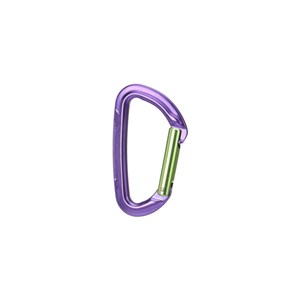 Karabinek Session Straight Gate green/purple