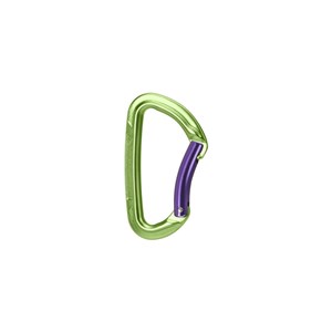 Karabinek Session Bent Gate green/purple