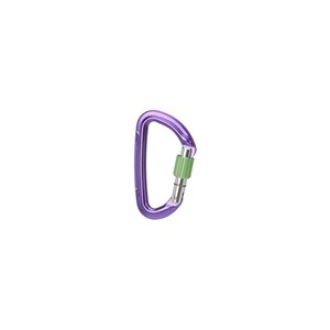 Karabinek Session Screw Gate purple/green