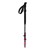 Kije trekkingowe Backcountry GT WMN